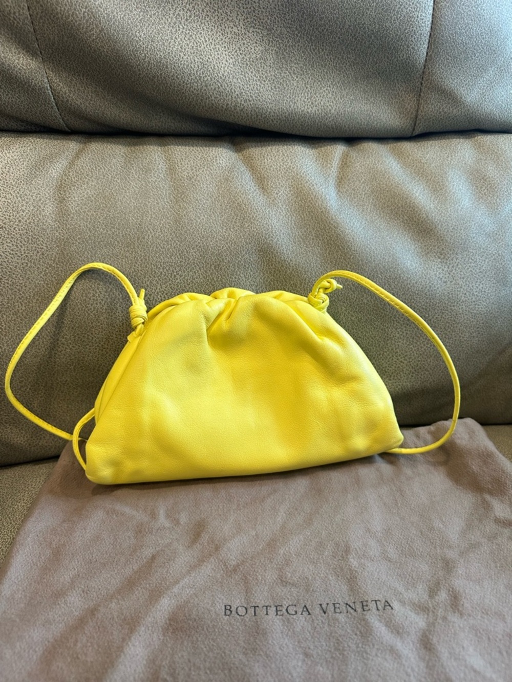 Bottega Veneta Small Yellow Pouch Shoulder Bag